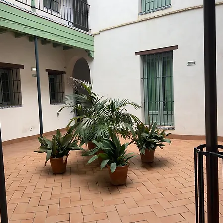 O&l Gran Poder - Modern Loft With Private Pool And Terrace Apartment Seville